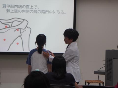 DSC04787.JPG